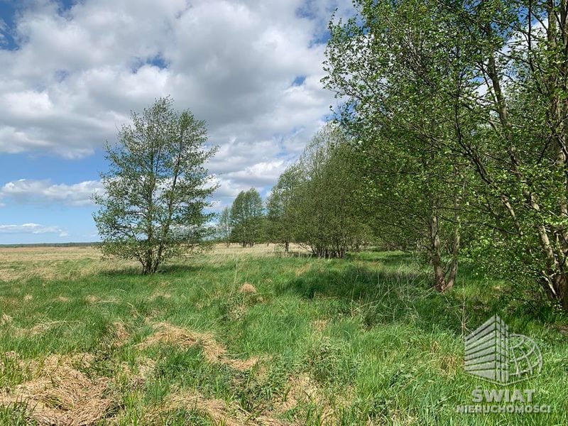 Działka na sprzedaż, Goleniów Kliniska Wielkie, 6126 m² — UBR22535, zdjęcie 2