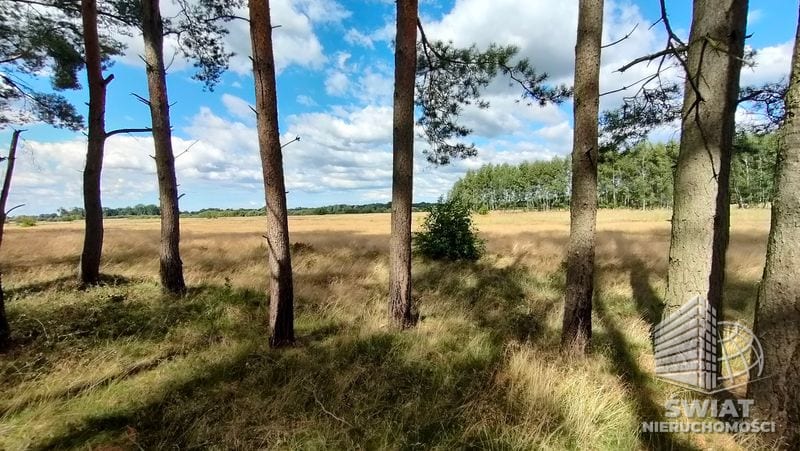 Działka na sprzedaż, Goleniów Komarowo, 3182 m² — PTR25686, zdjęcie 2