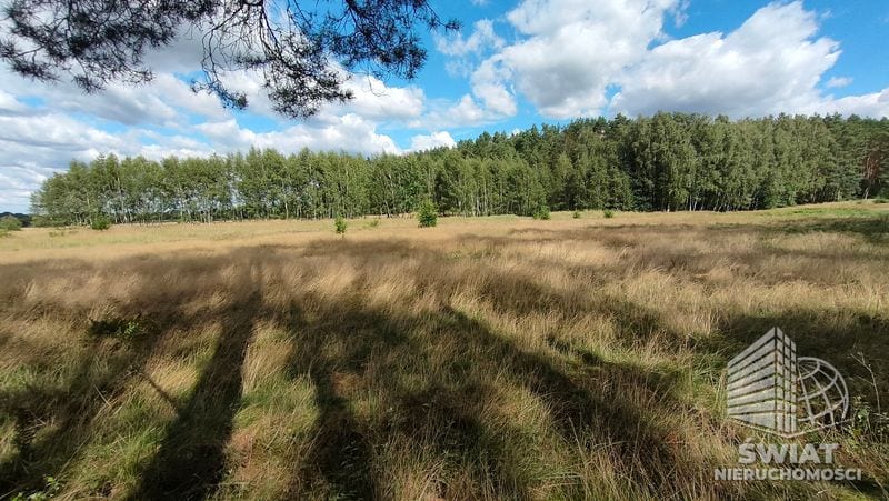 Działka na sprzedaż, Goleniów Komarowo, 3182 m² — PTR25686, zdjęcie 3