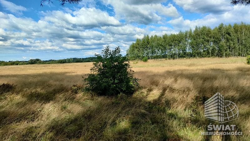 Działka na sprzedaż, Goleniów Komarowo, 3182 m² — PTR25686, zdjęcie 4