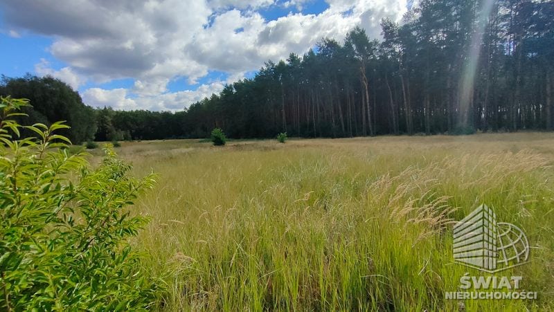 Działka na sprzedaż, Goleniów Komarowo, 3182 m² — PTR25686, zdjęcie 6