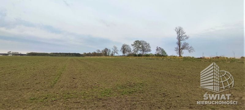 Działka na sprzedaż, Goleniów Lubczyna, 7387 m² — MNI21904, zdjęcie 4