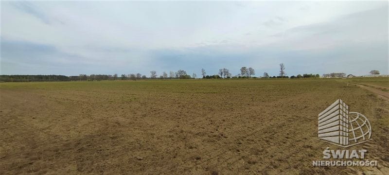 Działka na sprzedaż, Goleniów Lubczyna, 4258 m² — MNI21906, zdjęcie 3