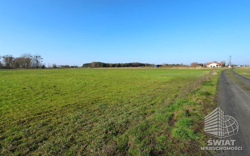 Działka na sprzedaż, Goleniów Lubczyna, 3978 m² — MNI21967, zdjęcie 4