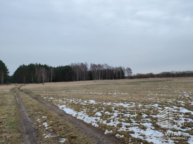 Działka na sprzedaż, Goleniów Lubczyna, 23200 m² — SWN30755, zdjęcie 2