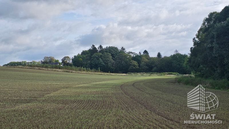 Działka na sprzedaż, Gryfice Niekładź, 3871 m² — SCN22831, zdjęcie 3