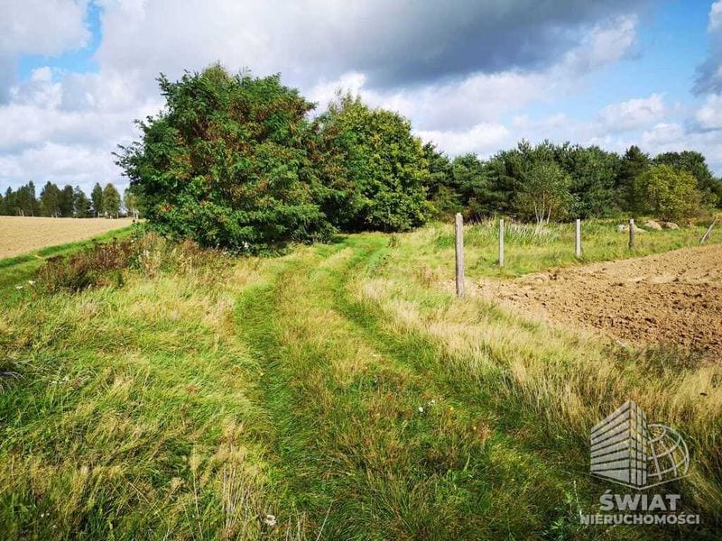 Działka na sprzedaż, Gryfice Świeszewo, 18458 m² — INW32678, zdjęcie 3