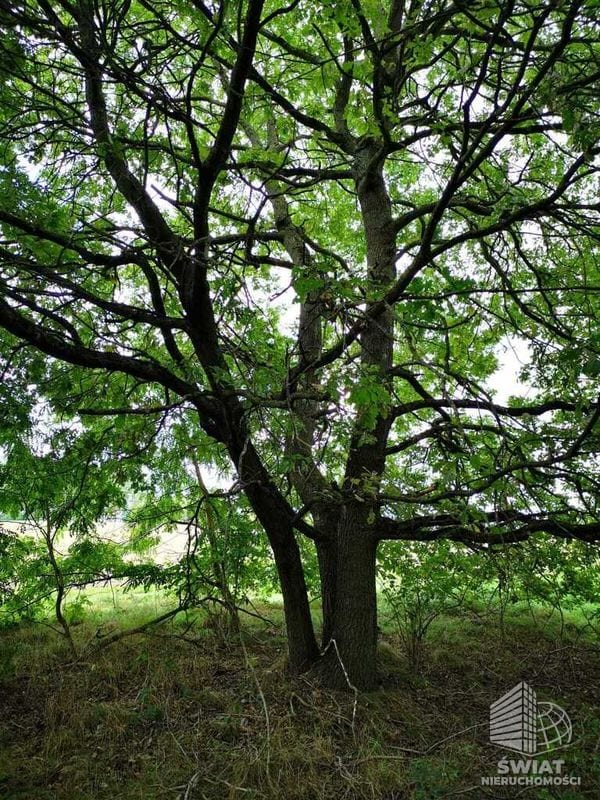 Działka na sprzedaż, Gryfice Świeszewo, 18458 m² — INW32678, zdjęcie 5