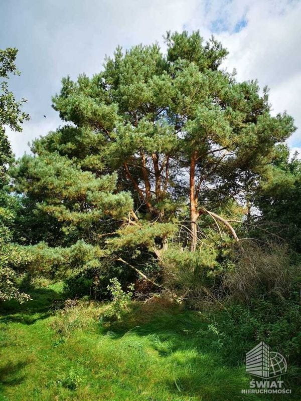 Działka na sprzedaż, Gryfice Świeszewo, 18458 m² — INW32678, zdjęcie 7