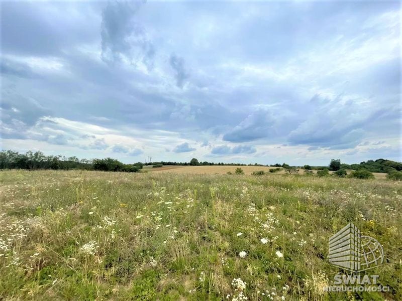 Działka na sprzedaż, Gryfino, 990 m² — CEN21282, zdjęcie 2