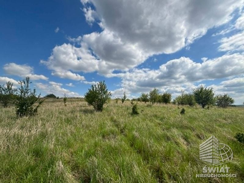 Działka na sprzedaż, Gryfino, 1302 m² — CEN21639, zdjęcie 1