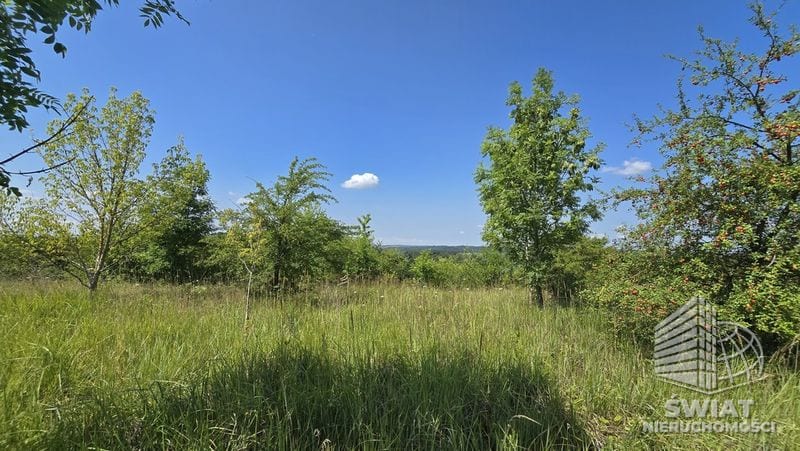 Działka na sprzedaż, Gryfino Radziszewo, 2616 m² — INW32880, zdjęcie 7