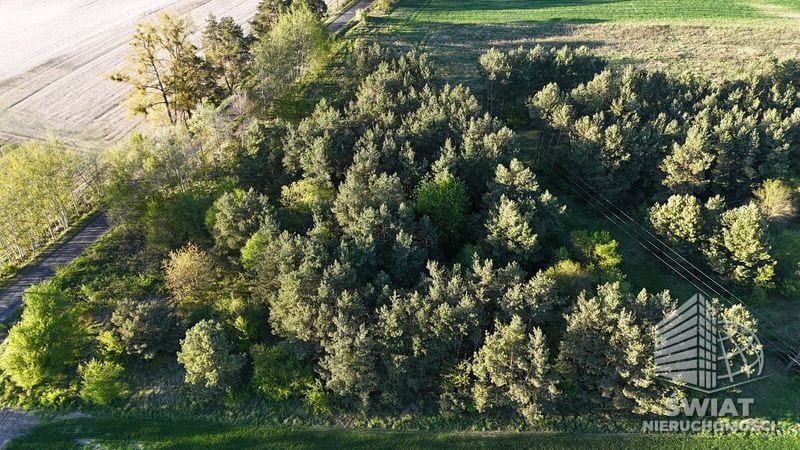 Działka na sprzedaż, Gryfino Steklno, 3005 m² — 35/13324/OGS, zdjęcie 7
