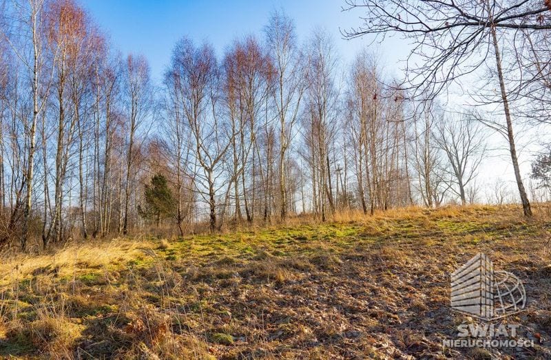 Działka na sprzedaż, Ińsko Ścienne, 11230 m² — MDR20685, zdjęcie 3