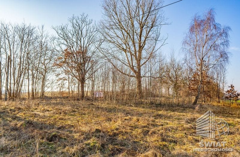 Działka na sprzedaż, Ińsko Ścienne, 11230 m² — MDR20685, zdjęcie 8