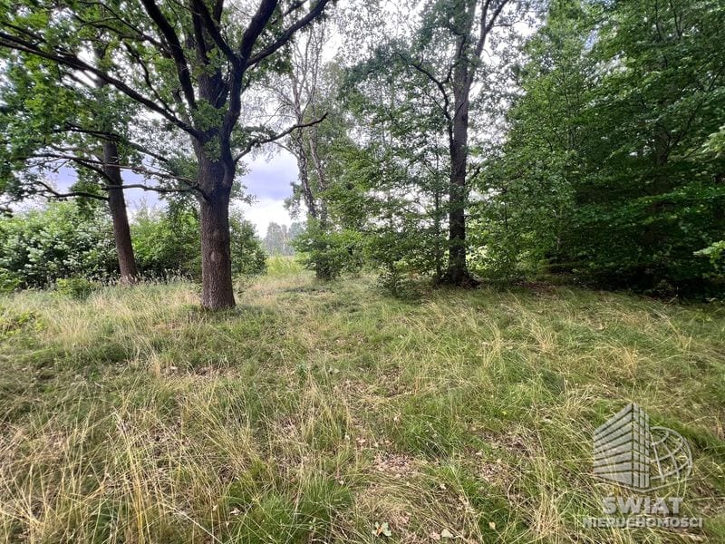 Działka na sprzedaż, Ińsko Storkowo, 3566 m² — ARK26600, zdjęcie 1