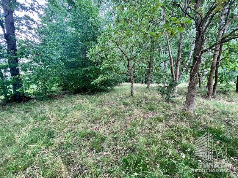 Działka na sprzedaż, Ińsko Storkowo, 3566 m² — ARK26600, zdjęcie 2