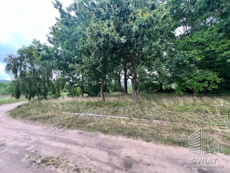 Działka na sprzedaż, Ińsko Storkowo, 3566 m² — ARK26600, zdjęcie 3