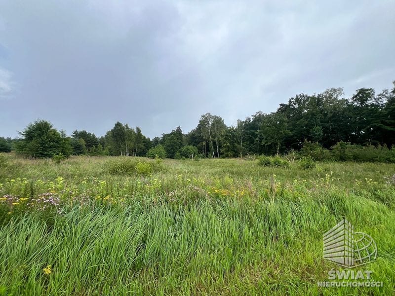 Działka na sprzedaż, Ińsko Storkowo, 3566 m² — ARK26600, zdjęcie 6