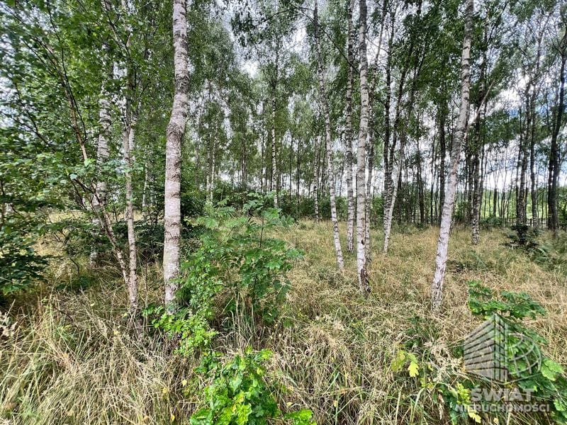 Działka na sprzedaż, Ińsko Storkowo, 3412 m² — ARK26601, zdjęcie 1