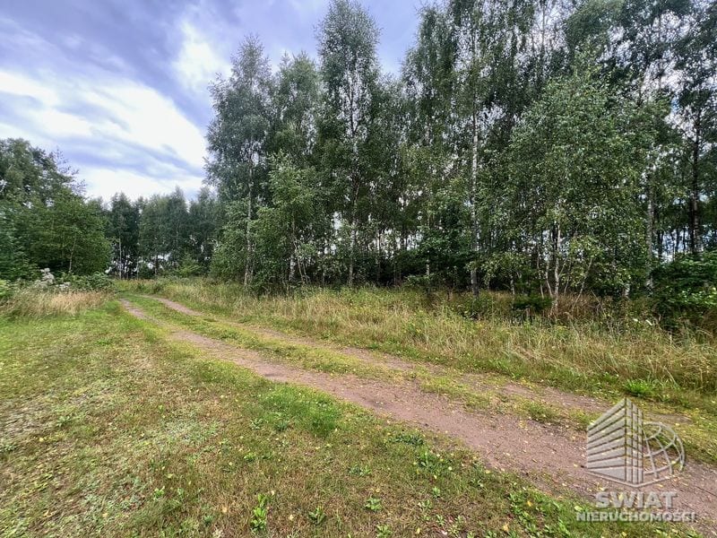 Działka na sprzedaż, Ińsko Storkowo, 3412 m² — ARK26601, zdjęcie 4