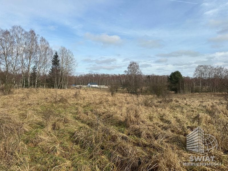 Działka na sprzedaż, Ińsko Storkowo, 3065 m² — MTN13006, zdjęcie 1