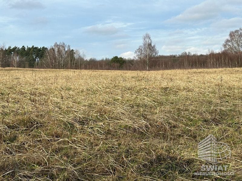 Działka na sprzedaż, Ińsko Storkowo, 3065 m² — MTN13006, zdjęcie 6