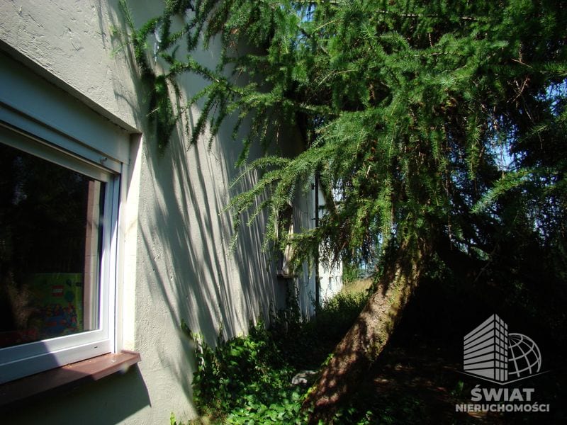 Działka na sprzedaż, Kobylanka Niedźwiedź, 20197 m² — FKT25099, zdjęcie 8