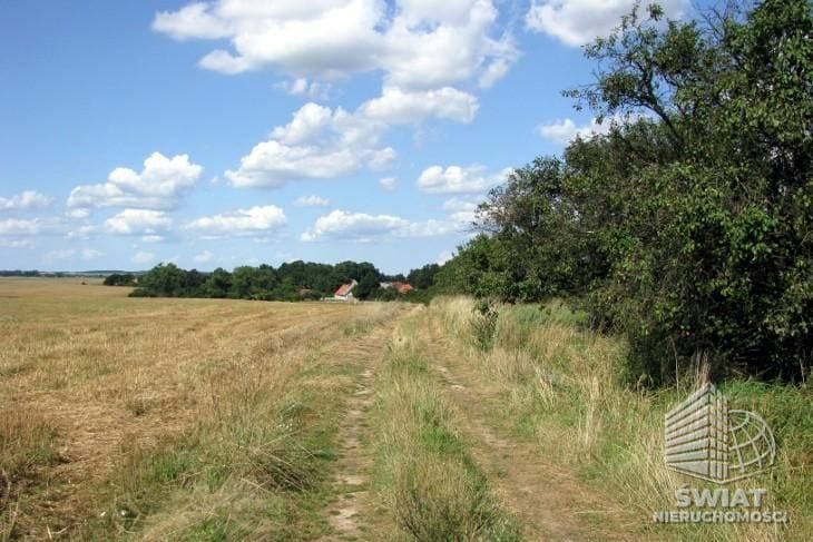 Działka na sprzedaż, Kołbaskowo Barnisław, 47000 m² — FKT24980, zdjęcie 1