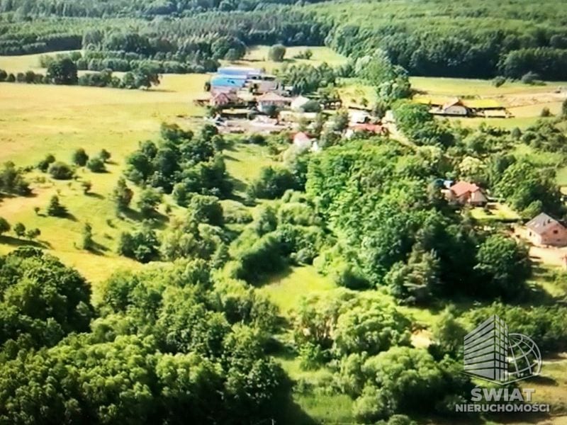 Działka na sprzedaż, Kołbaskowo Barnisław, 47000 m² — FKT24980, zdjęcie 3
