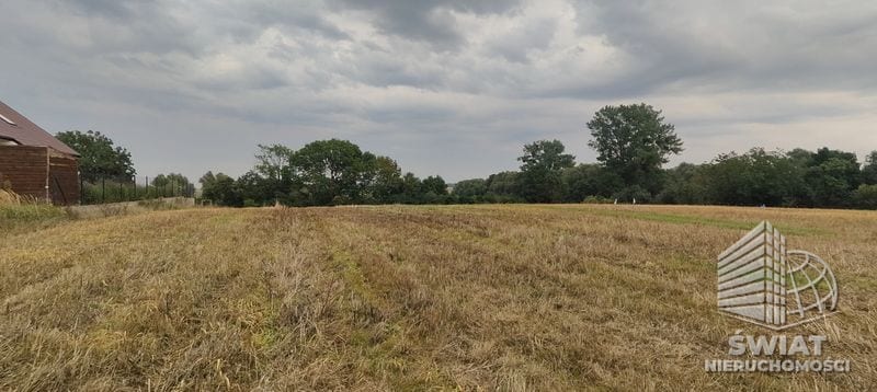 Działka na sprzedaż, Kołbaskowo Barnisław, 2438 m² — LIB20007, zdjęcie 1