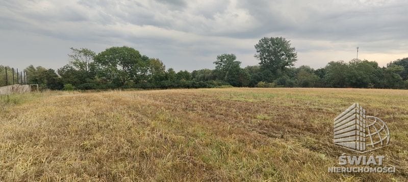 Działka na sprzedaż, Kołbaskowo Barnisław, 2438 m² — LIB20007, zdjęcie 2