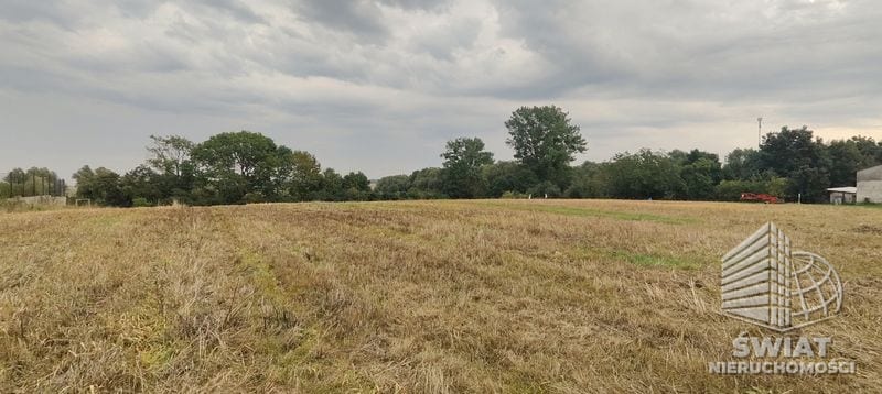 Działka na sprzedaż, Kołbaskowo Barnisław, 2438 m² — LIB20007, zdjęcie 3