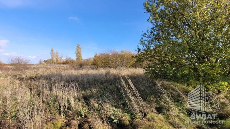 Działka na sprzedaż, Kołbaskowo Bobolin, 3000 m² — PAT21311, zdjęcie 6