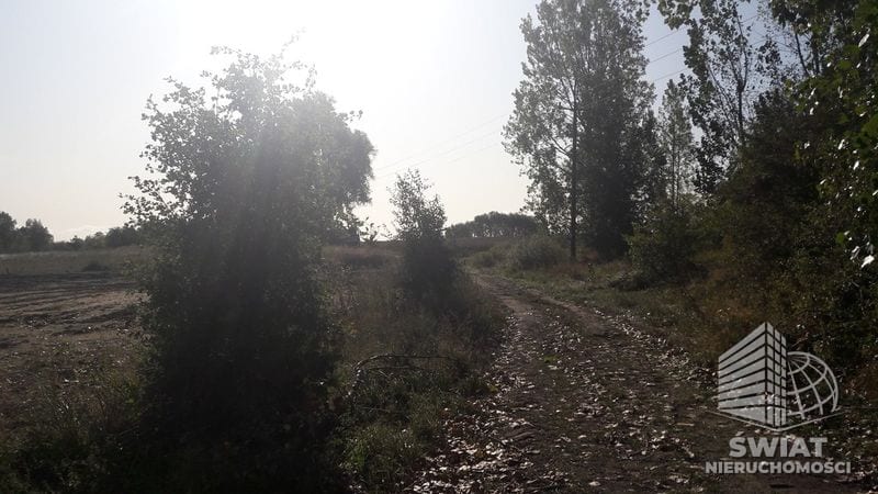 Działka na sprzedaż, Kołbaskowo, 25244 m² — FKT25003, zdjęcie 2