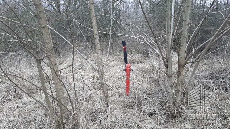 Działka na sprzedaż, Kołbaskowo Karwowo, 3000 m² — PAT21047, zdjęcie 6