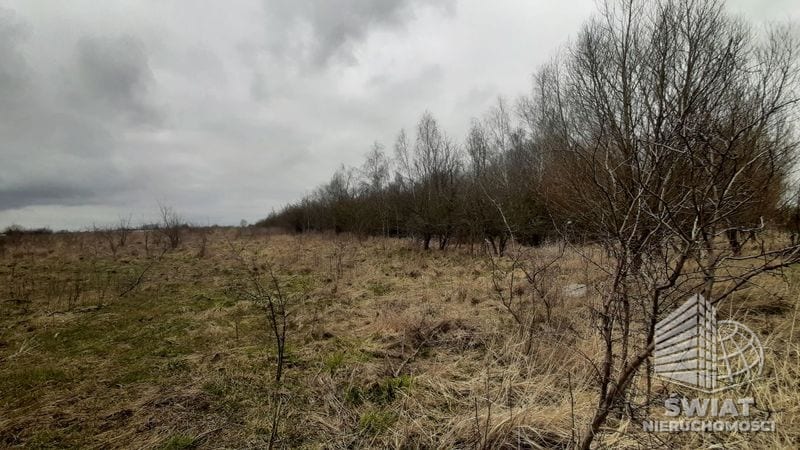 Działka na sprzedaż, Kołbaskowo Karwowo, 3000 m² — PAT21047, zdjęcie 8