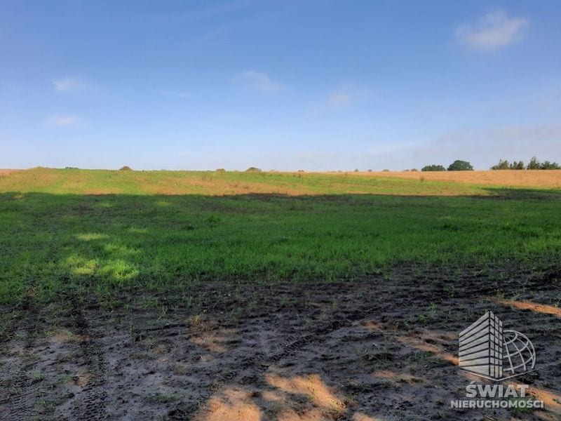 Działka na sprzedaż, Kołbaskowo Kurów, 20200 m² — FKT24785, zdjęcie 1