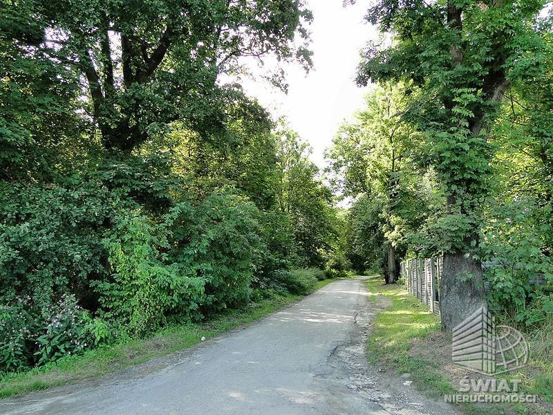 Działka na sprzedaż, Kołbaskowo Kurów, 20200 m² — FKT24785, zdjęcie 2