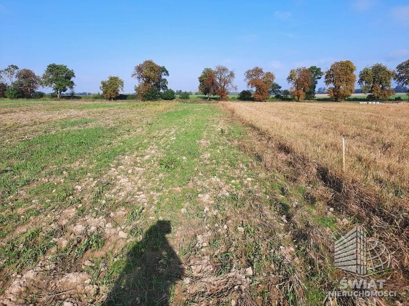 Działka na sprzedaż, Kołbaskowo Kurów, 20200 m² — FKT24785, zdjęcie 7