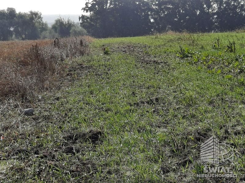 Działka na sprzedaż, Kołbaskowo Kurów, 20200 m² — FKT24785, zdjęcie 8