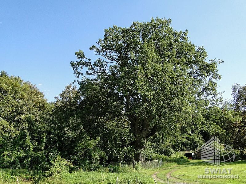 Działka na sprzedaż, Kołbaskowo Kurów, 27988 m² — FKT25196, zdjęcie 1