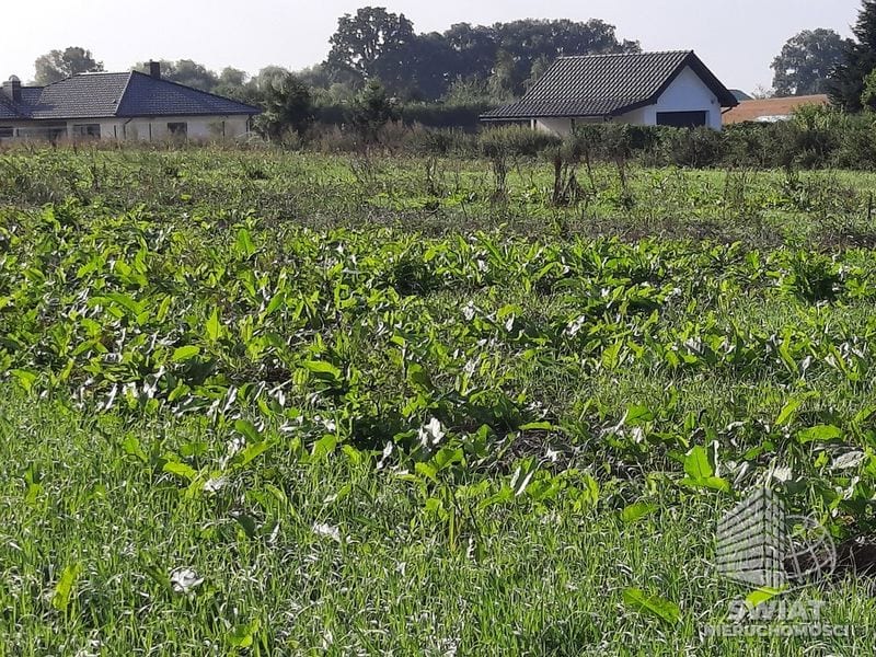 Działka na sprzedaż, Kołbaskowo Kurów, 27988 m² — FKT25196, zdjęcie 4