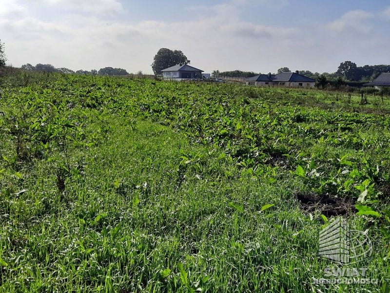 Działka na sprzedaż, Kołbaskowo Kurów, 27988 m² — FKT25196, zdjęcie 6