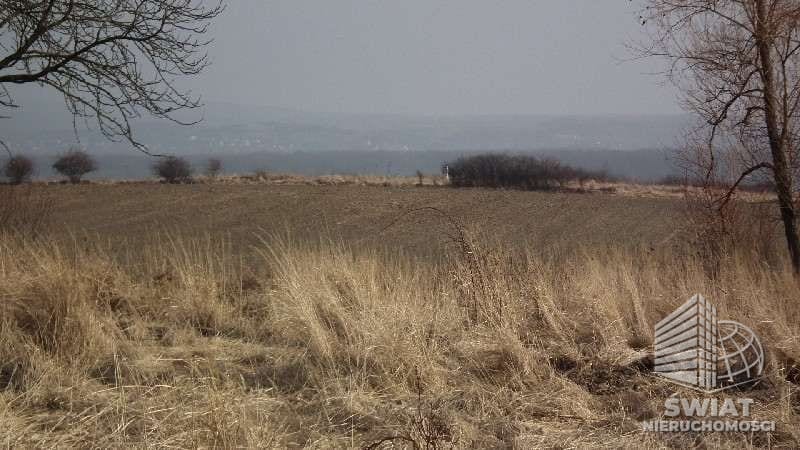Działka na sprzedaż, Kołbaskowo Siadło Dolne, 48363 m² — ARKA1076, zdjęcie 3