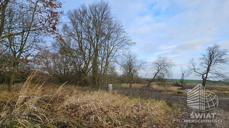 Działka na sprzedaż, Kołbaskowo Siadło Dolne, 1002 m² — HOR21619, zdjęcie 1