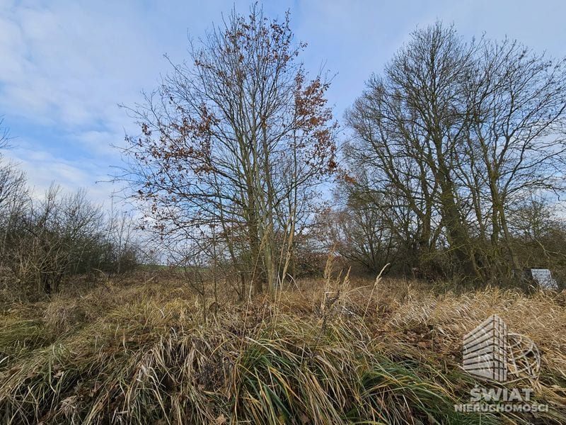 Działka na sprzedaż, Kołbaskowo Siadło Dolne, 1002 m² — HOR21619, zdjęcie 3