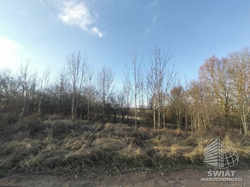 Działka na sprzedaż, Kołbaskowo Siadło Dolne, 3318 m² — SWN32385, zdjęcie 1