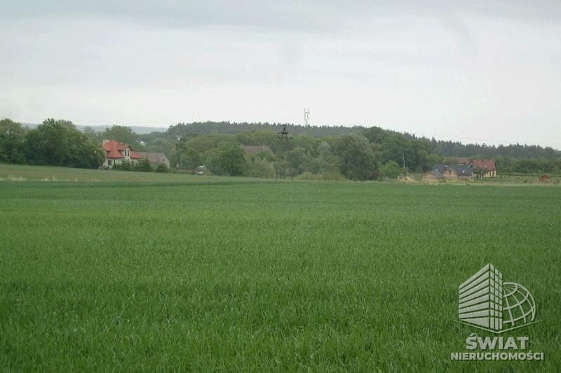 Działka na sprzedaż, Kołbaskowo Siadło Górne, 11100 m² — CIE02777, zdjęcie 1