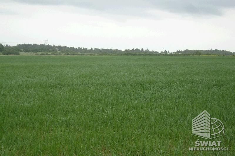 Działka na sprzedaż, Kołbaskowo Siadło Górne, 11100 m² — CIE02777, zdjęcie 4